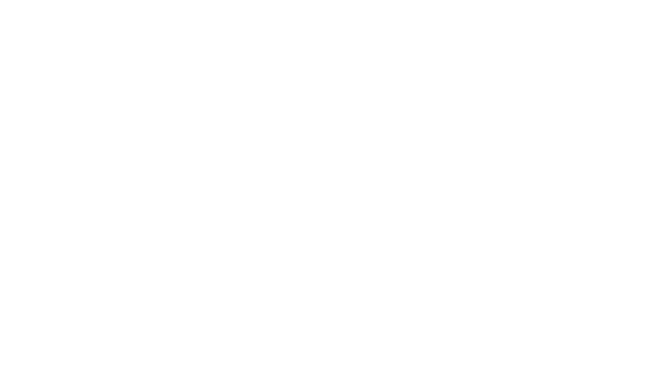 logo dirty south
